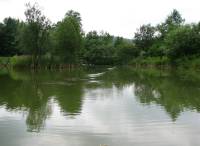 Pond